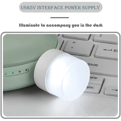 6096 Small USB Bulb used in all kinds of household and official places for room lighting purposes. DeoDap