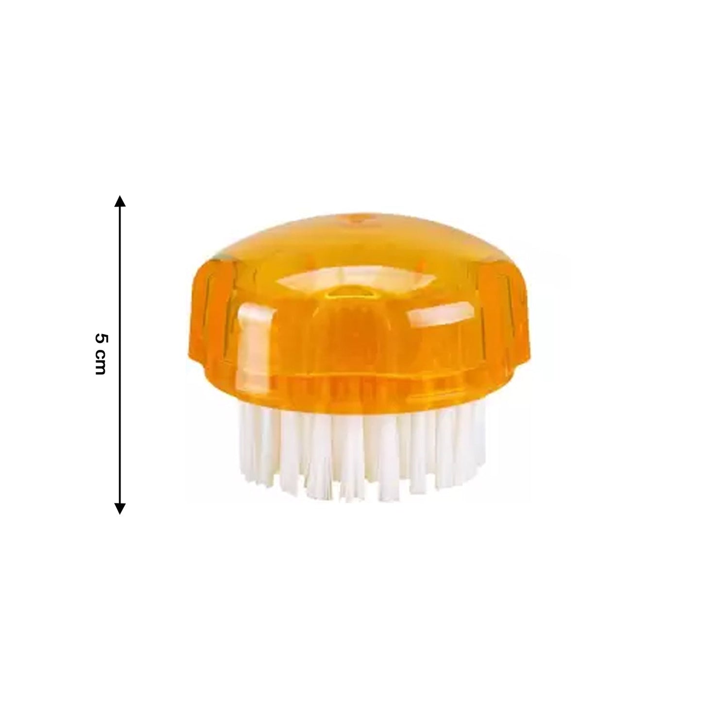 2518 Vegetable Fruits Cleaning Brush Nylon Round Pastry Brush DeoDap