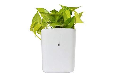 3858 Plastic Vertical Hanging Planter Pot, Multicolour, DeoDap