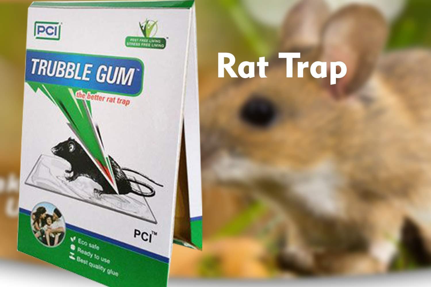 247 PCI Cardboard Troublegum Small Size Mouse Trap-1pc DeoDap