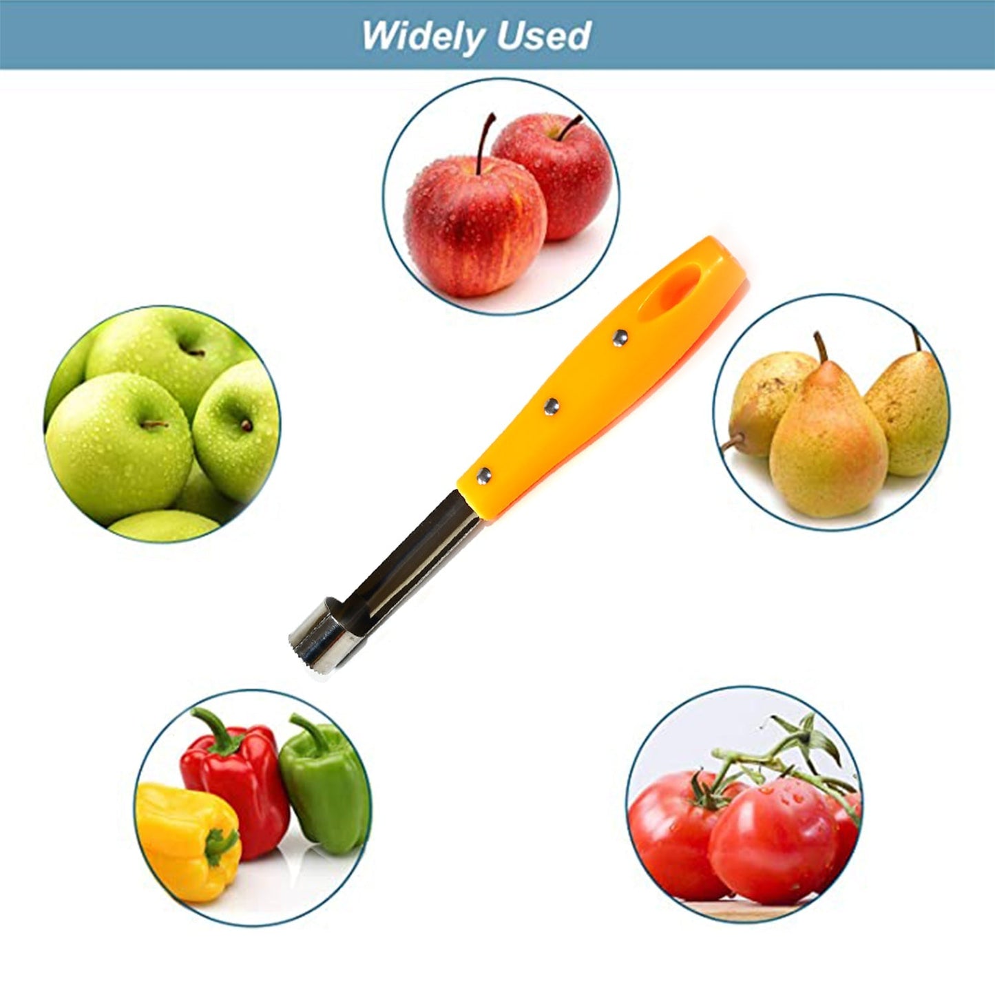 2187 Apple Corer Stainless Steel, Core Remover for Apple and Pear, Kitchen Gadget.